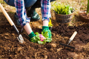 Tips & Tricks to prevent injury this gardening season